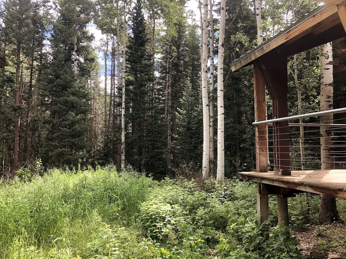 cabin in the mountains in Colorado