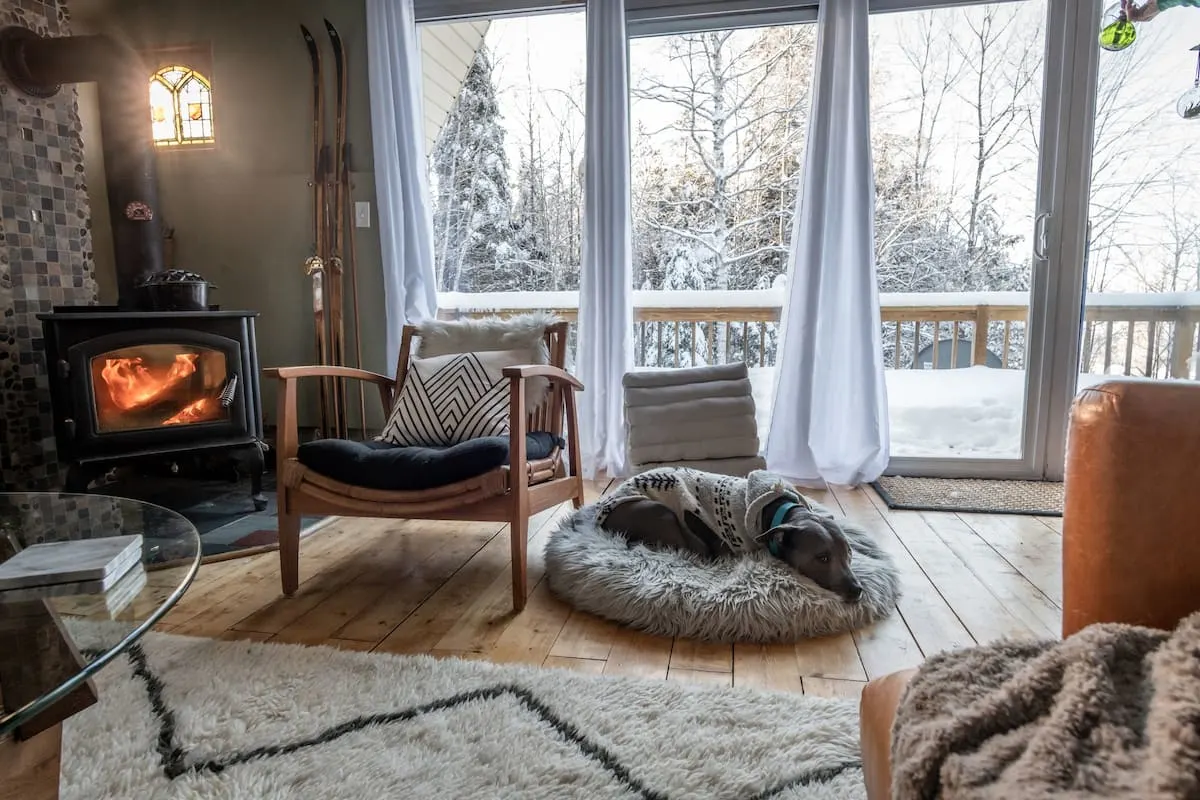 comfy cottage with dog in vermont