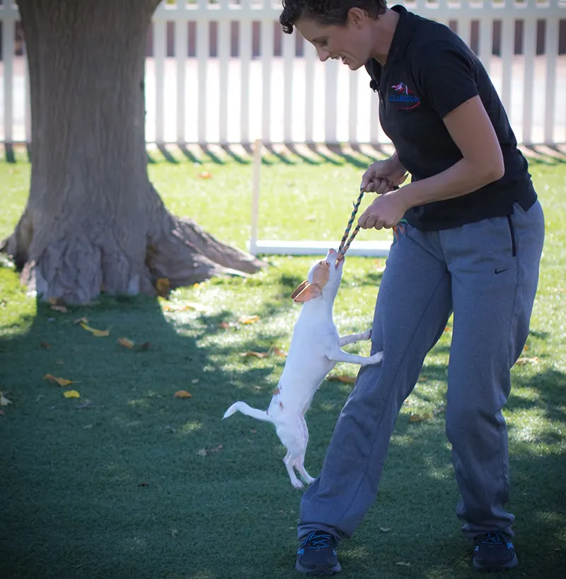 Kama Rueschenberg, dog agility trainer, working with her dog Porky Pig