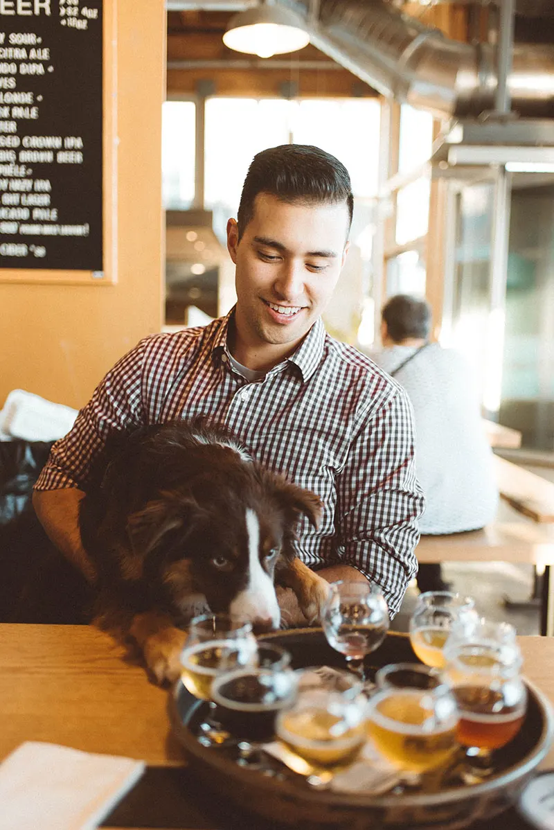 Kiba trying to sneak a taste at Optimism Brewing.