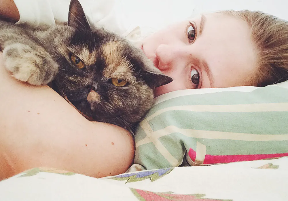 The healing power of cat purrs