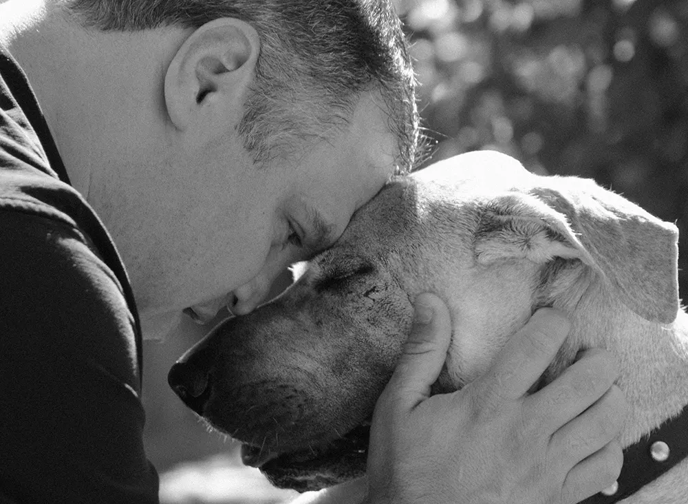 Tips for adopting senior dogs