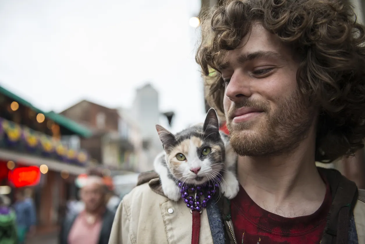 Man walking with cat on leash