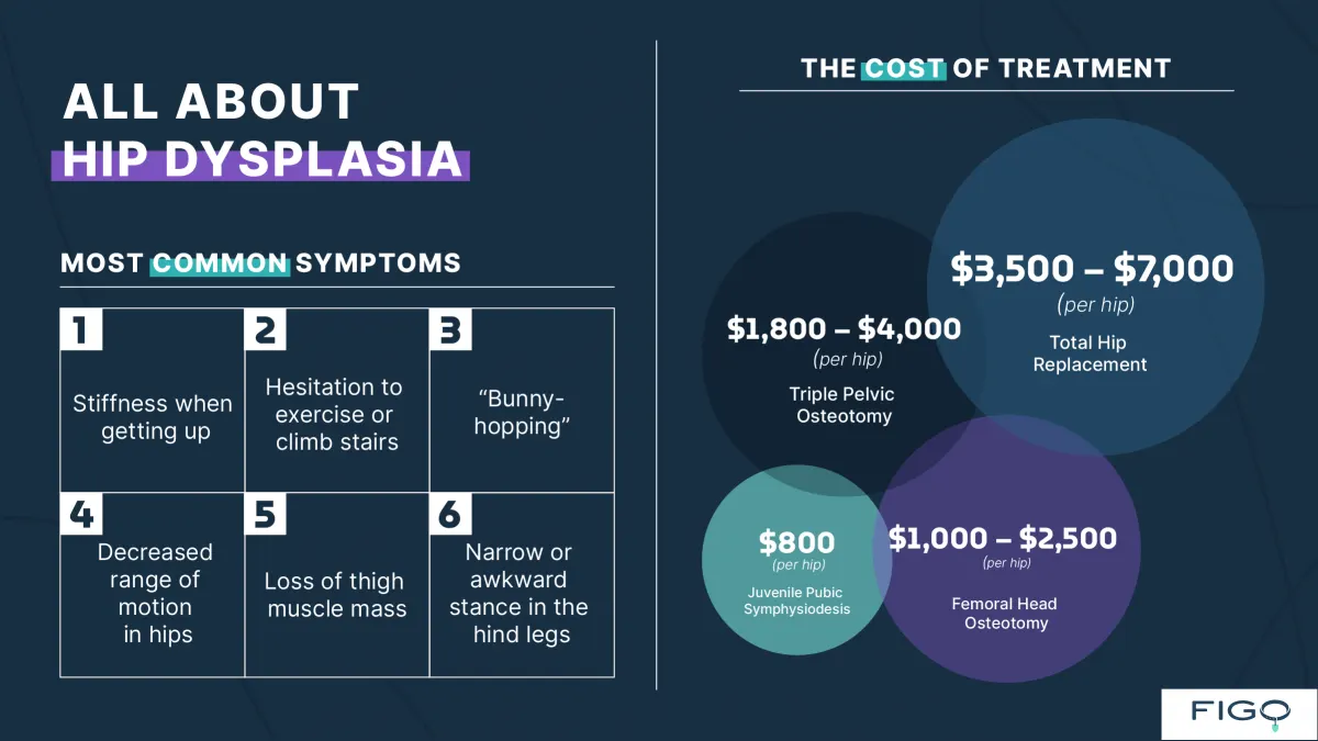 chart detailing the costs of hip dysplasia in dogs