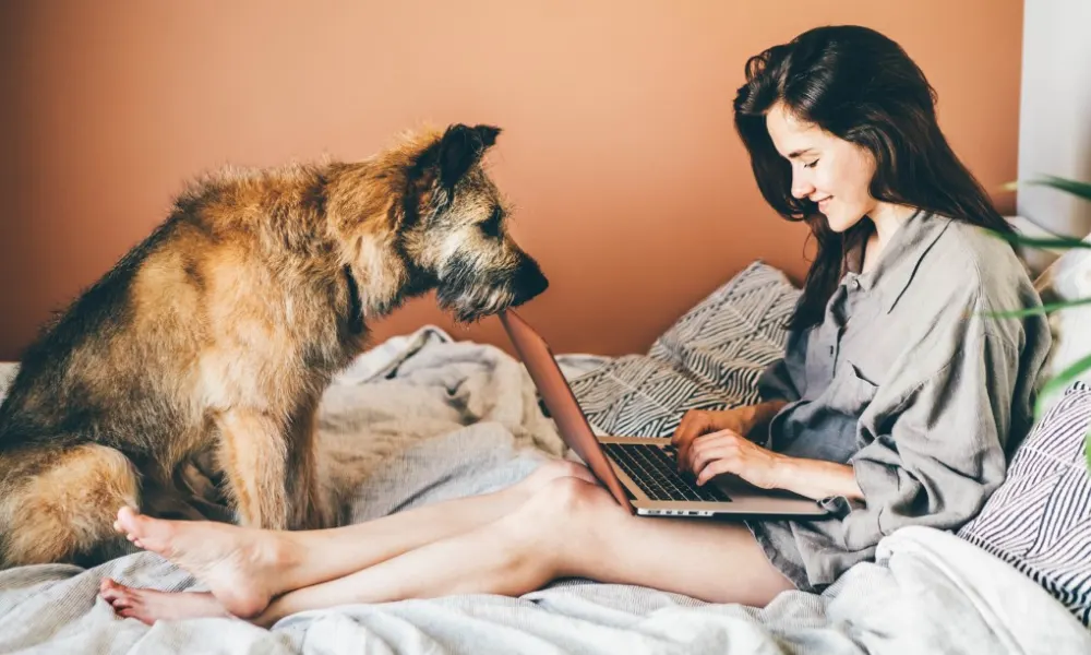 dog watching woman on laptop